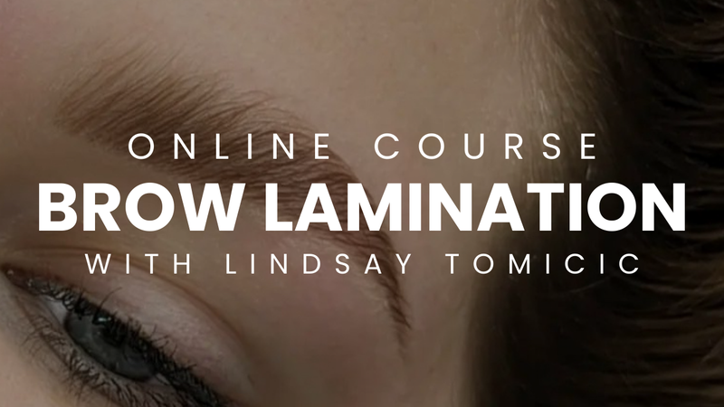 BROW LAMINATION ONLINE COURSE